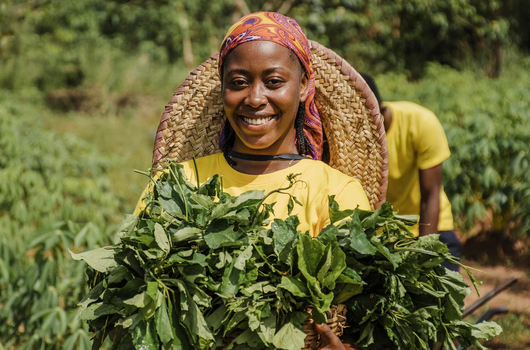 Smiling Nigerian woman farmer holding fresh leafy vegetables in a green field